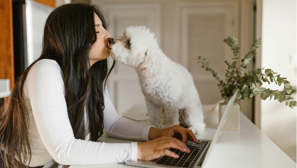 Affectionate Dog Giving its Owner a Little Love